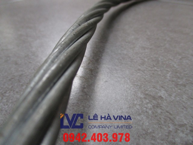 cáp BTS, Lê Hà Vina, Cáp BTS, Cáp cứng viễn thông, Sợi thép, Công ty Viễn Thông Tây Nguyên, Công ty Viễn thông