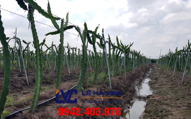 Cáp thép lụa, Cáp thép, Cáp lụa, mua cáp lụa nhập khẩu, mua cáp lụa, cáp lụa Hàn Quốc, Lê Hà Vina, cáp lụa Nhật Bản