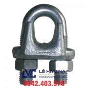 oc-siet-cap-han-quoc-2