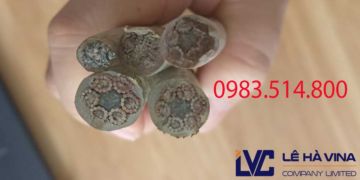 Giá của dây cáp bọc nhựa sẽ cao khi có đường kính lớn